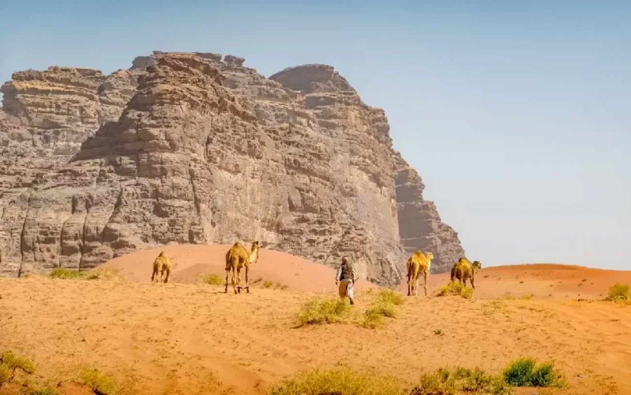 Alla scoperta del Deserto di Tabuk, Arabia Saudita